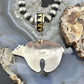 Tommy & Rosita Singer Sterling Silver & GF Overlay Unisex Bear Pendant