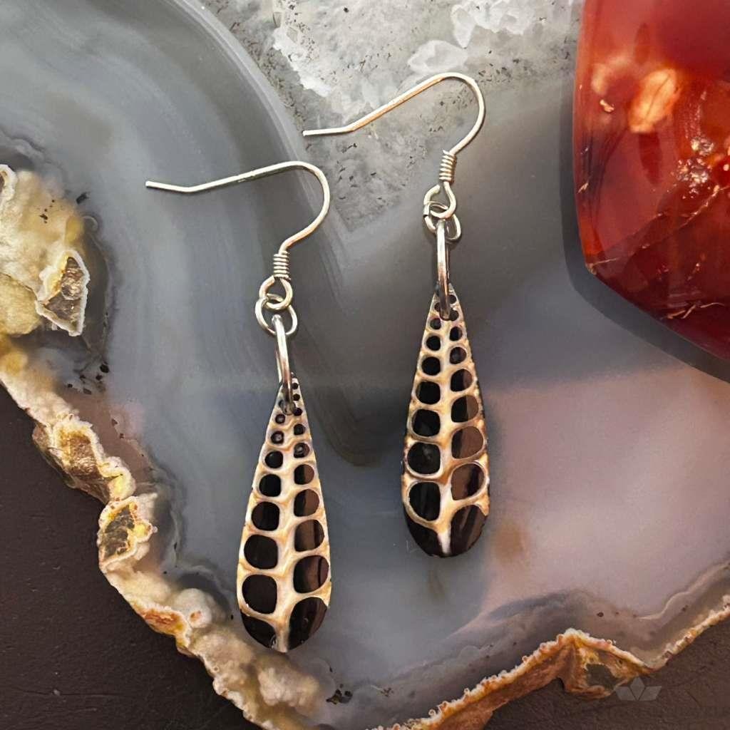 Sterling Silver Teardrop Turritella Fossil Slab Dangle Earrings For Women #333