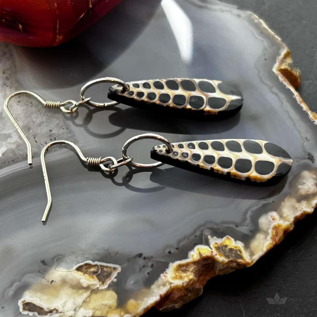 Sterling Silver Teardrop Turritella Fossil Slab Dangle Earrings For Women #333