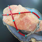 Carolyn Pollack Sterling Silver Cactus Pendant on Coral 14"-17" Necklace For Women