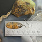 Sterling Silver Oval Maligano Jasper Slab Dangle Earrings For Women #530