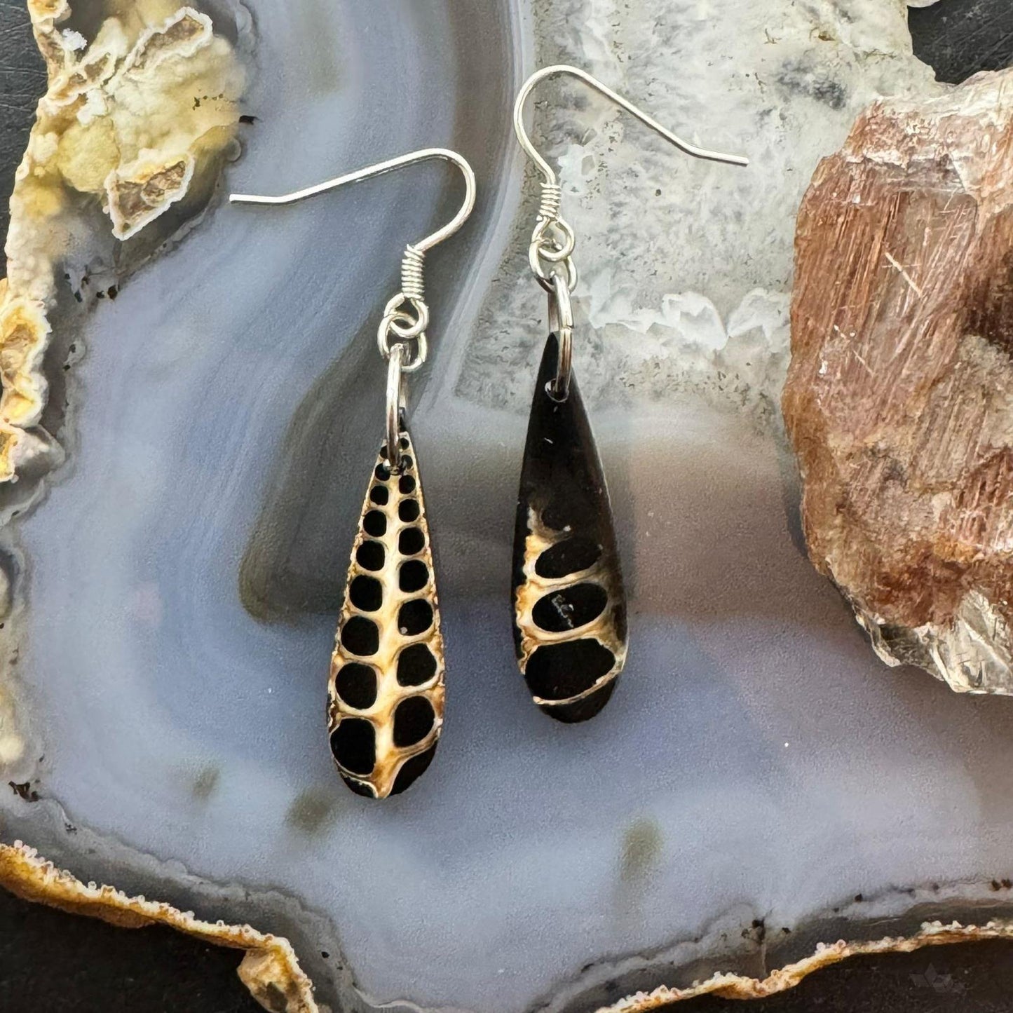 Sterling Silver Teardrop Turitella Fossil Slab Dangle Earrings For Women #232