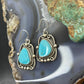 Sterling Silver Southwestern Style Turquoise Decorated Dangle Earrings For Women #3