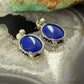 Carolyn Pollack Sterling Silver Oval Lapis w/Native Symbol Dangle Earrings For Women