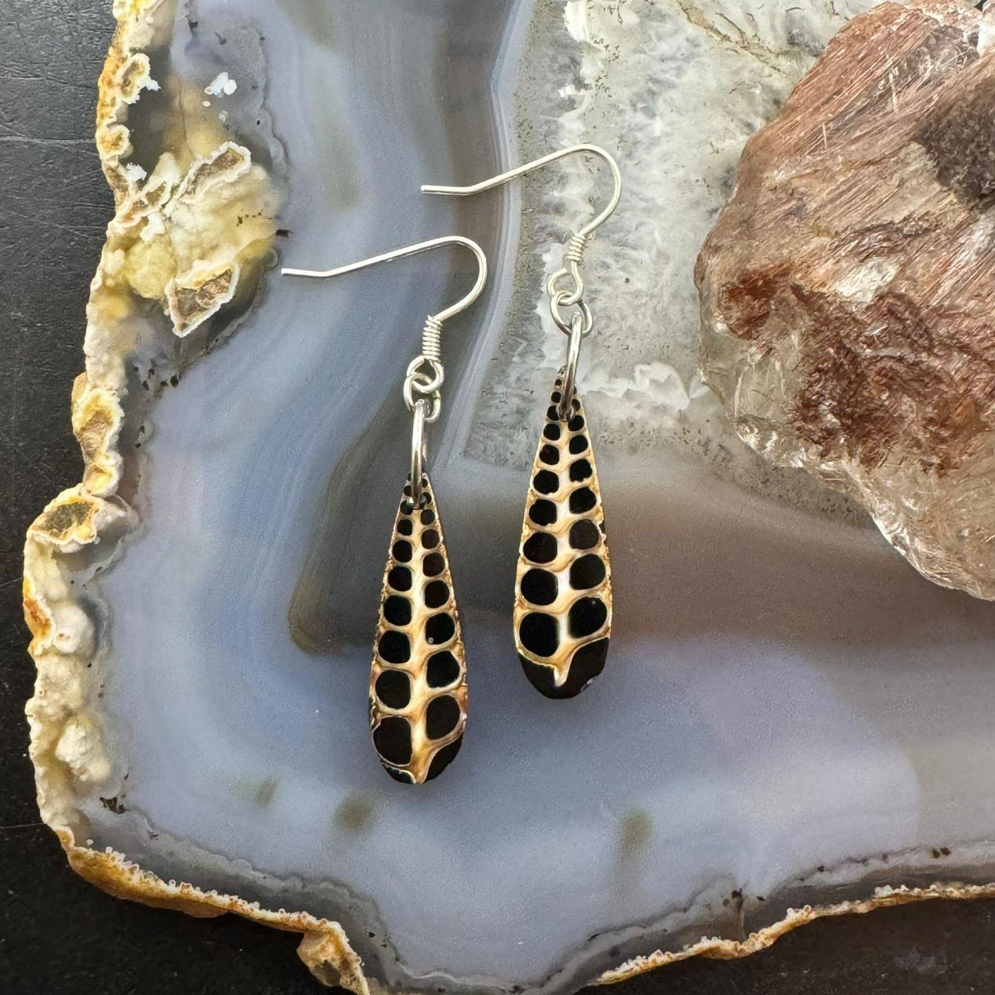 Sterling Silver Teardrop Turitella Fossil Slab Dangle Earrings For Women #232