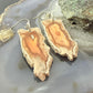 Sterling Silver Agate Slab Dangle Earrings For Women #405