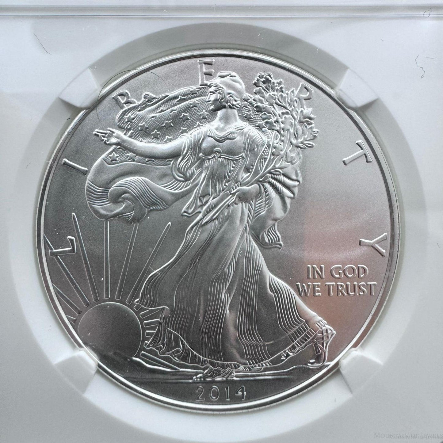 2014 US American Silver Eagle .999 Fine Silver NGC MS69 #6076808-135