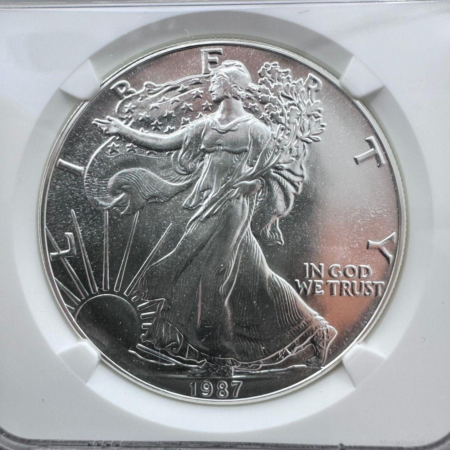 1987 US 1.0oz.999 Fine Silver American Silver Eagle NGC MS69 #2720111-066EG