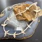 Vintage Native American Heishi Beads & 16 Carved Shell Birds Necklace For Women