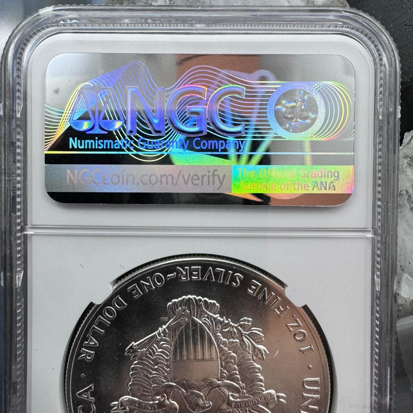 1987 US 1.0oz .999 Fine Silver American Silver Eagle NGC MS69 #6567385-123EG