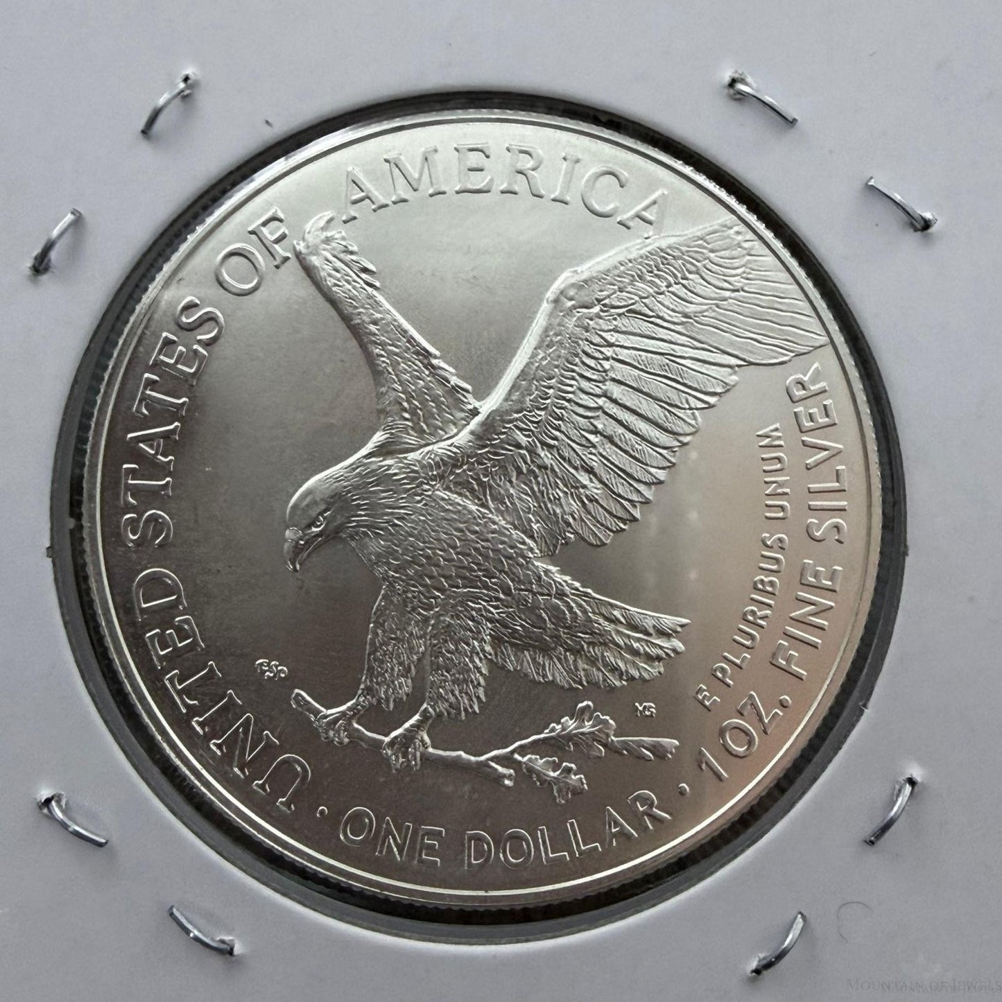 US 2024 1.0 Troy Ounce .999 American Eagle BU Condition #12625-9DL