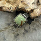 Carolyn Pollack Sterling Silver Square Green Turquoise Ring Size 7 For Women