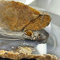 Carolyn Pollack Sterling Silver Tiger's Eye & Onyx 18" Necklace For Women