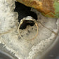 Carolyn Pollack Sterling Silver Oval Onyx Decorated Ring Size 5, 9 For Women