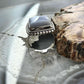 Sterling Silver Southwestern Style Square Blue Lace Agate Ring Size 7 For Women