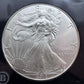 2010 US 1.0oz .999 Fine American Silver Eagle Brilliant Uncirculated #026