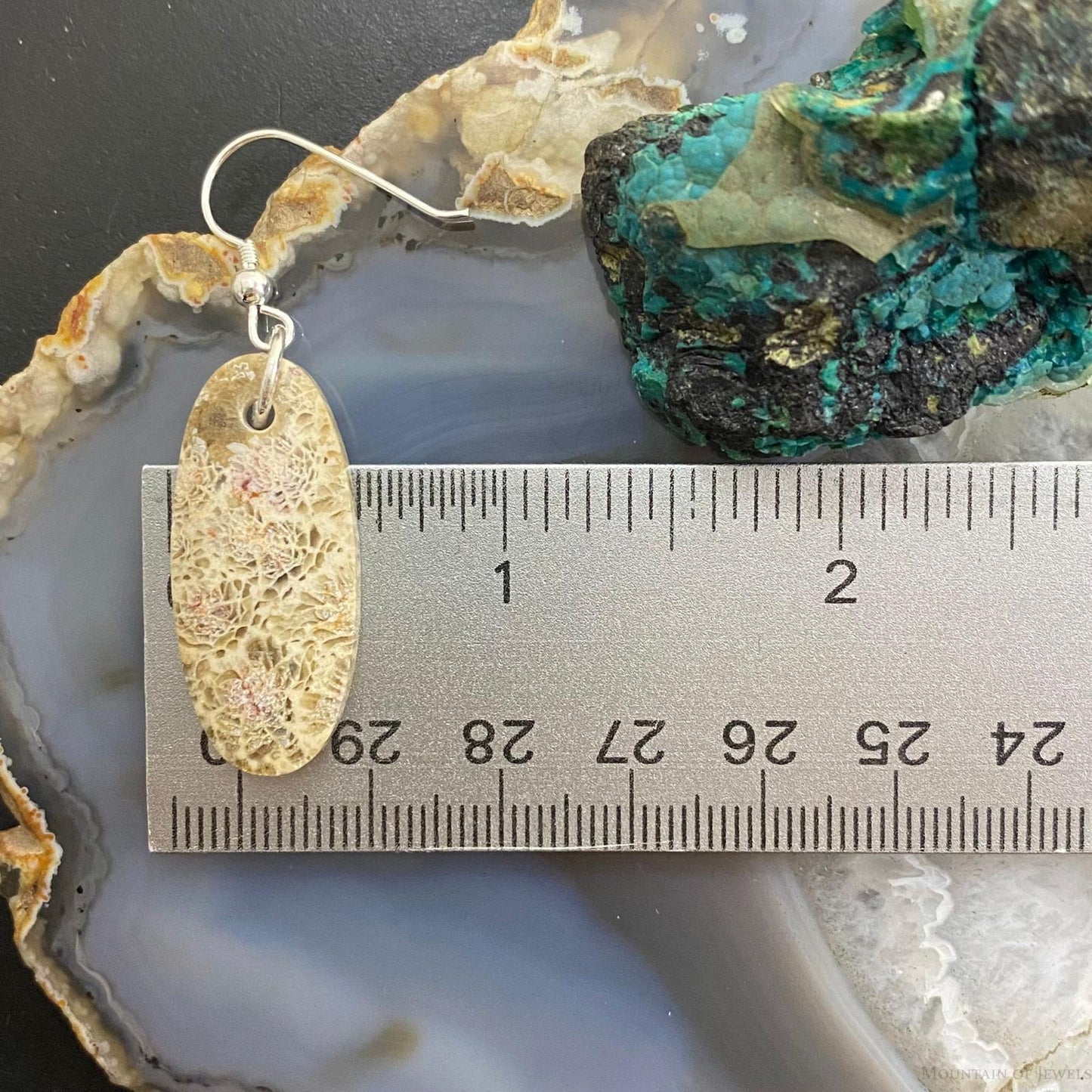 Sterling Silver Oval Fossilized Coral Slab Dangle Earrings For Women #070