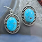 Sterling Silver Southwestern Style Turquoise Decorated Dangle Earrings For Women