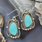 Sterling Silver Southwestern Style Turquoise Decorated Dangle Earrings For Women #2