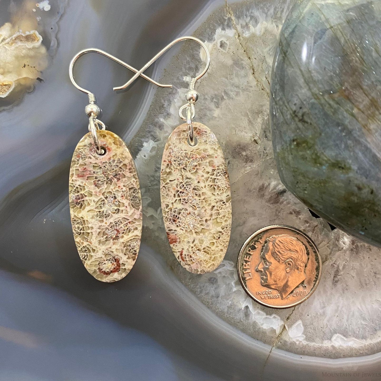 Sterling Silver Oval Fossilized Coral Slab Dangle Earrings For Women #055