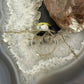 Sterling Silver Southwestern Style Teardrop Atlantisite Ring Size 8.25 For Women
