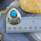 Vintage Native American Sterling Turquoise Shadow Box Bear Claw Stud Earrings