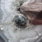 Sterling Silver Southwestern Style Oval Parral Dendritic Decorated Ring Size 8.5 For Women