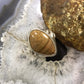 Carolyn Pollack Sterling Silver Natural Picture Jasper Ring Size 10 For Women