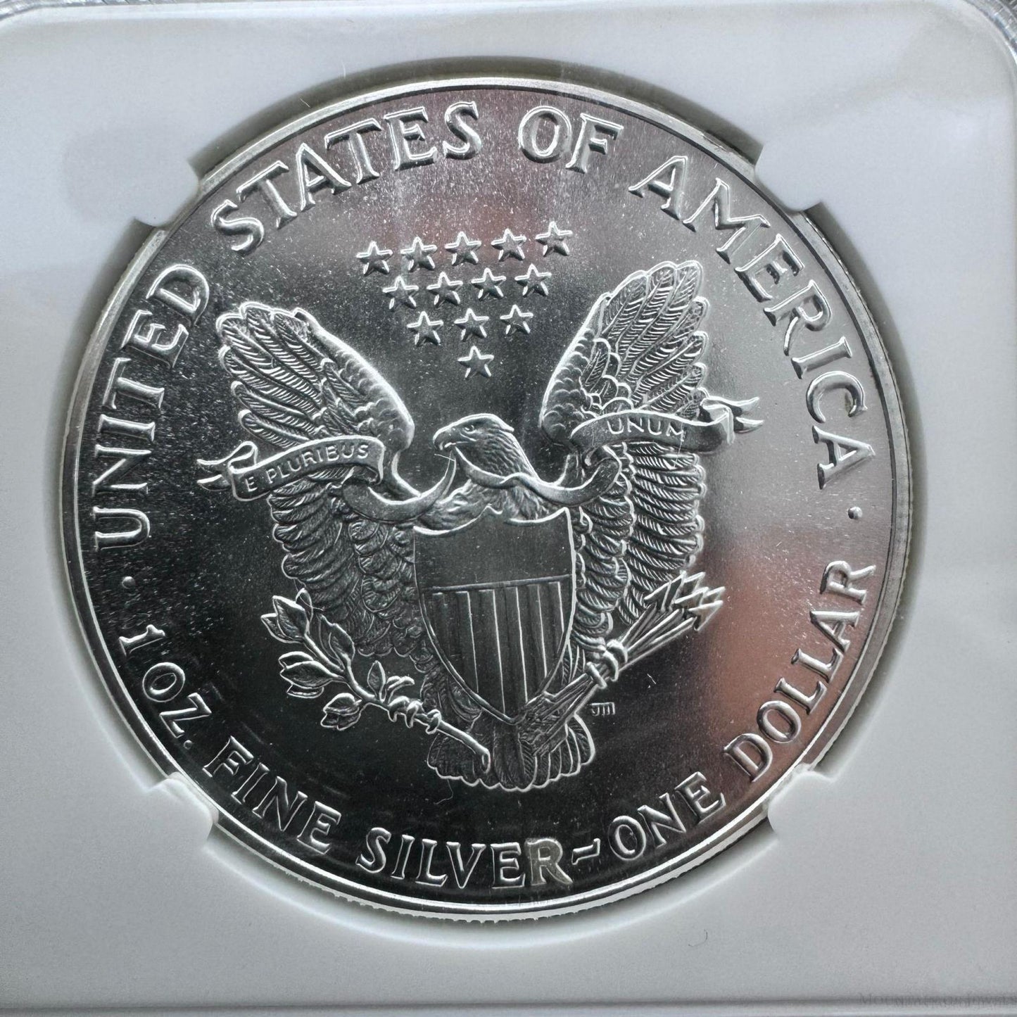 1987 US 1.0oz.999 Fine Silver American Silver Eagle NGC MS69 #2720111-066EG