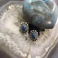 Carolyn Pollack Sterling Silver Oval Denim Lapis Stud Earrings For Women