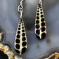 Sterling Silver Teardrop Turritella Fossil Slab Dangle Earrings For Women #333