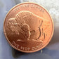 New Tube of 20 One Ounce 999 Fine Copper Indian Head Buffalo Rounds