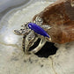 Carolyn Pollack Southwestern Style Sterling Silver Lapis Dragonfly Ring Size 9.25 & 10.25 For Women