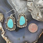 Sterling Silver Southwestern Style Turquoise Decorated Dangle Earrings For Women #2