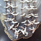 Vintage native American Sterling Silver 5 Strands White Shell Carved Fetish Bird Necklace For Women