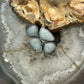 Carolyn Pollack Sterling Silver Amazonite Decorated Ring Size 5 For Women