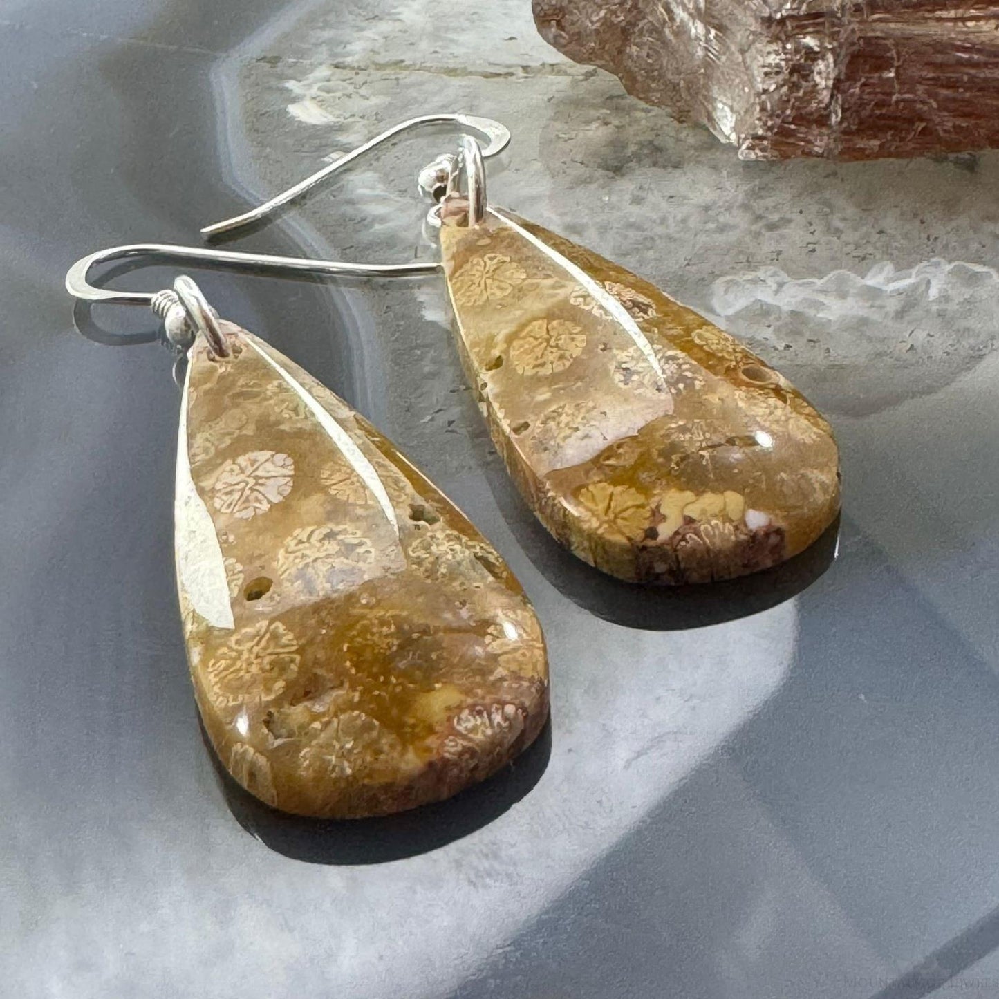 Sterling Silver Teardrop Fossilized Jasper Slab Dangle Earrings For Women #193