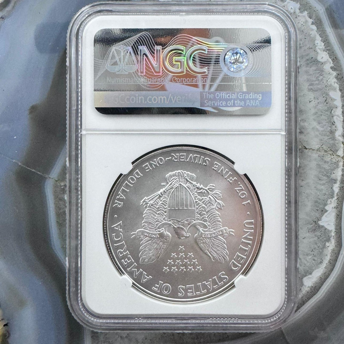 2005 US American Silver Eagle .999 Fine Silver NGC MS69 #6076808-037