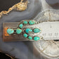 Sterling Silver Southwestern Style Kingman Turquoise Cactus Pendant Necklace For Women