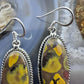 Sterling Silver Southwestern Style Oval Fruit Jasper Dangle Earrings For Women