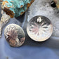 Vintage Native American Silver Stamped Stud Earrings For Women