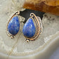 Carolyn Pollack Southwestern Style Sterling Silver  Denim Lapis Decorated Stud Earrings For Women