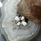 Carolyn Pollack Sterling Silver 4 Pear White Jasper Flower Ring Size 8.25 For Women