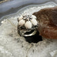 Carolyn Pollack Sterling Silver 6 Pear White Jasper Flower Ring For Women